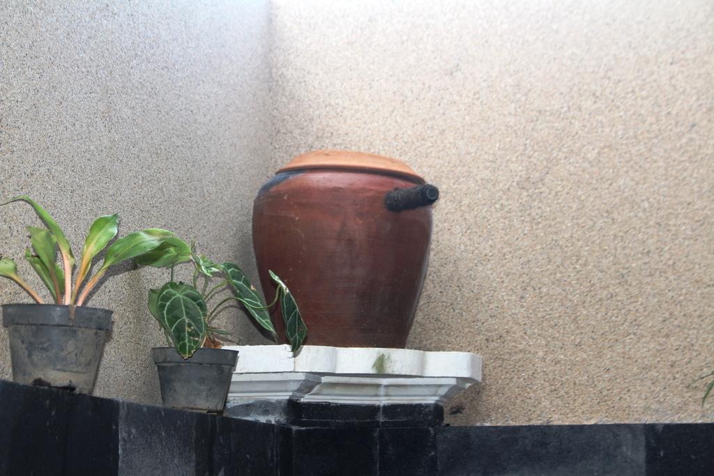 Pande Guest House Pemuteran Exterior foto